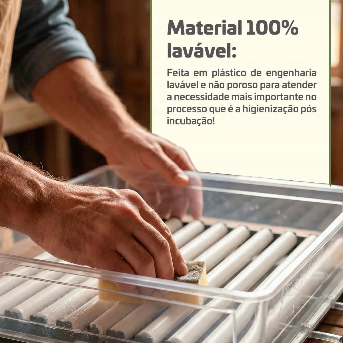 Chocadeira Automática 72 Ovos Com Medidor De Umidade Lavável Bivolt Ovoscópio Certificada Inmetro BT-420 Beltempo — imagem 3