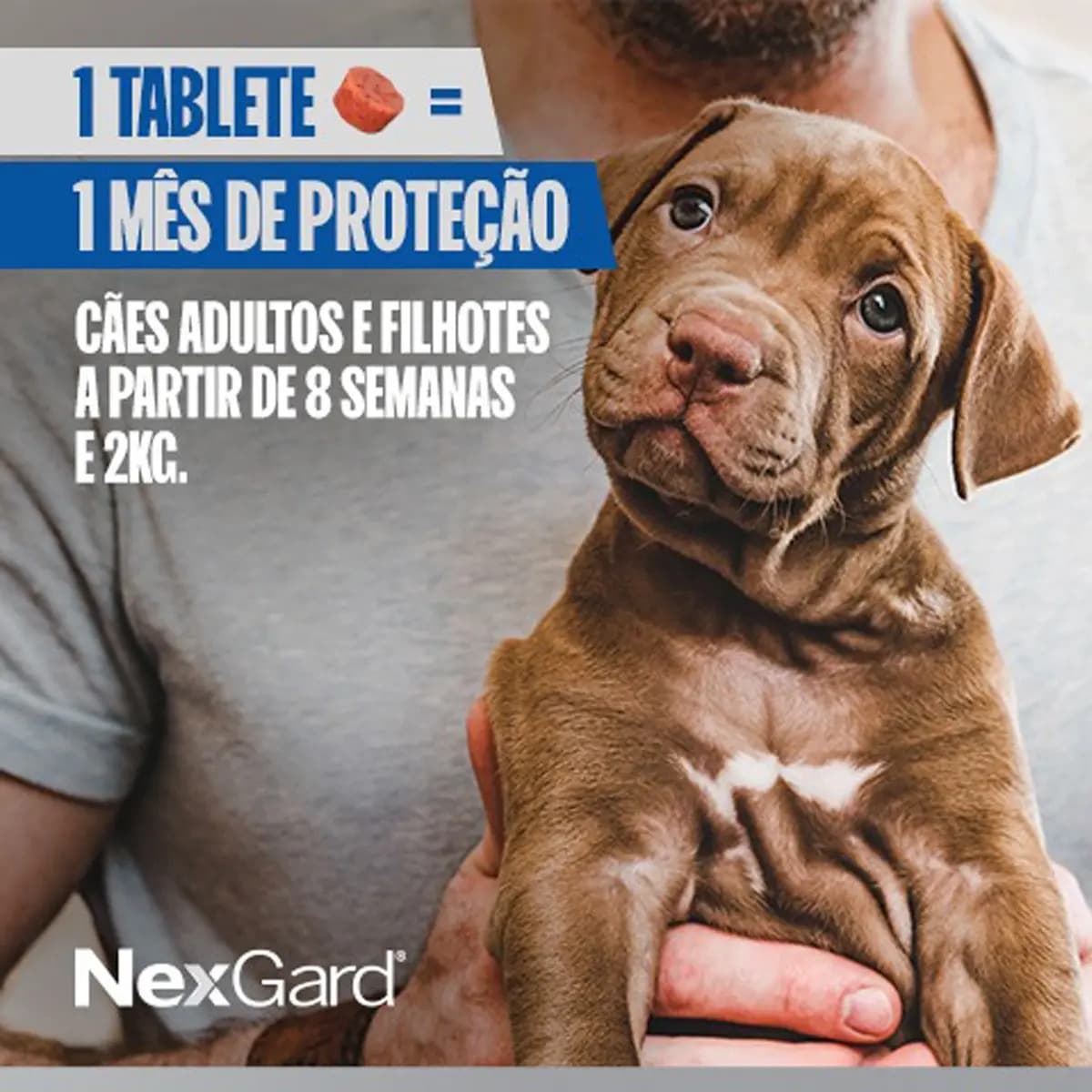 Comprimido NexGard Anti Pulgas e Carrapatos Cães 25,1-50kg 1 Tablete — imagem 6