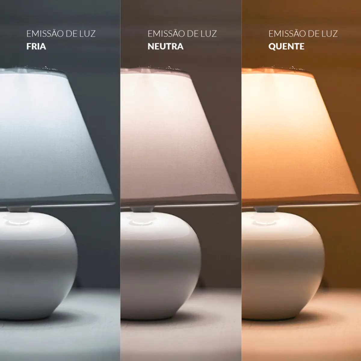 Kit 2 Lâmpadas LED 30W Blumenau Bulbo E27 Branco Frio 6500K 2400lm — imagem 5