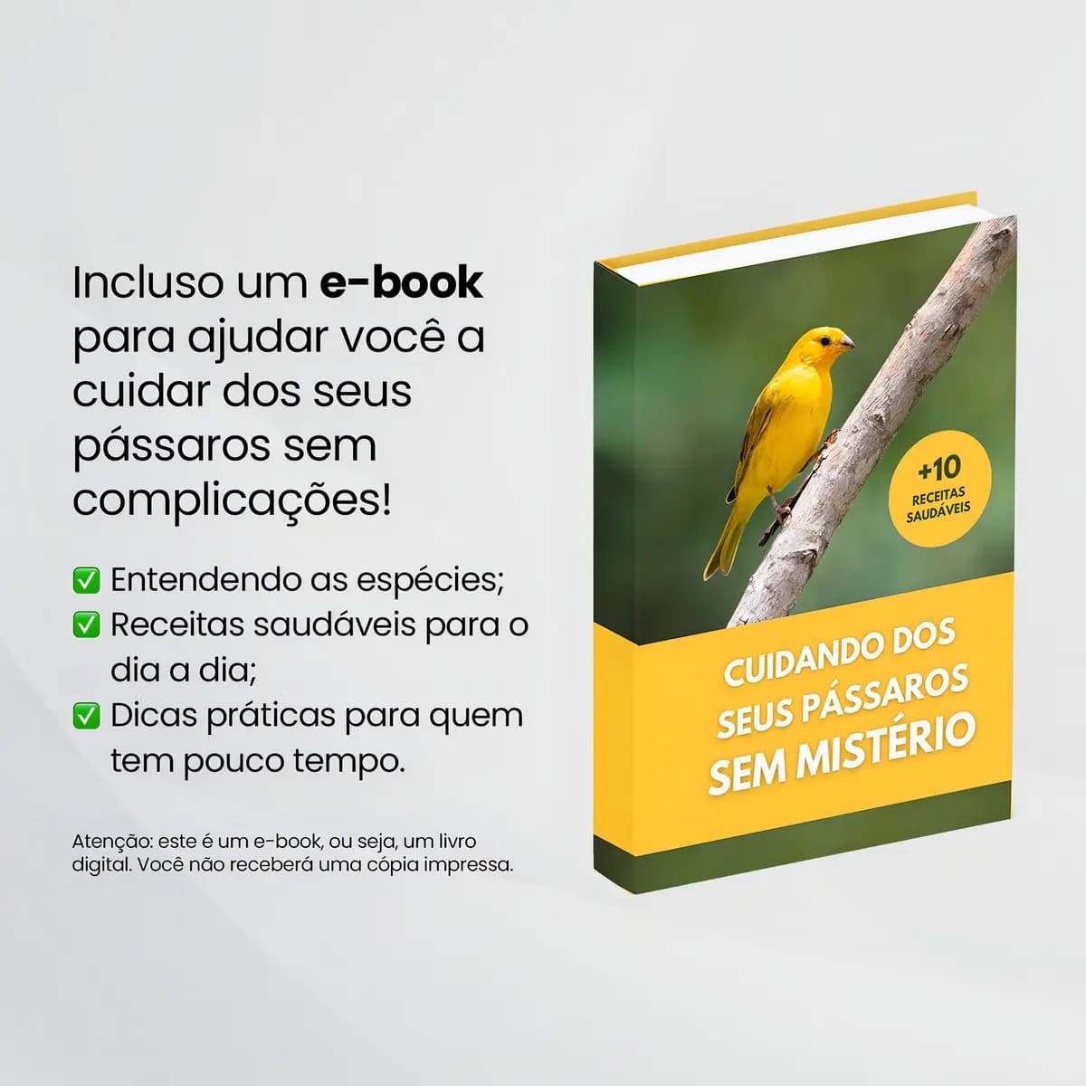 Gaiola Rossa mogno para passáro Curió 5 Poleiros — imagem 5