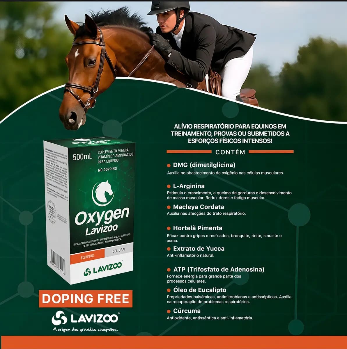 Suplemento Equino Lavizoo Oxygen Líquido Adulto 500 mL — imagem 6