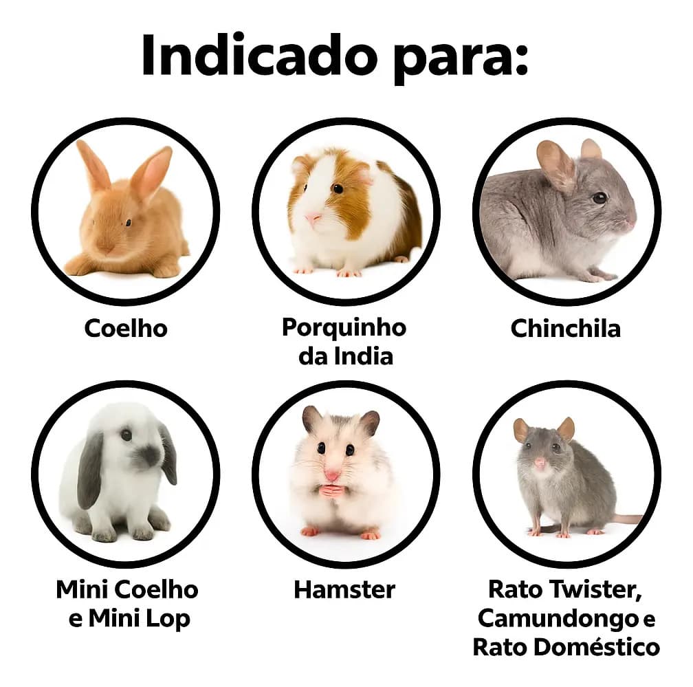 Gaiola Porquinho Da India Coelho Chinchila Grande Cor Black — imagem 5