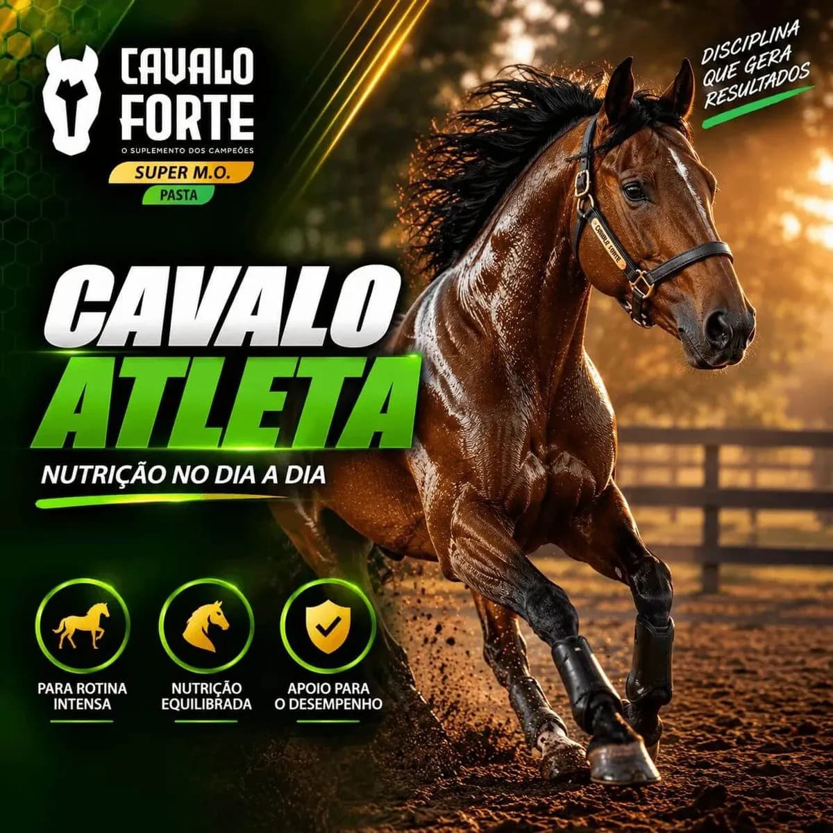 Pasta Mo Gel Cx Com 2 Seringas Suplemento Cavalo Forte Oral — imagem 2