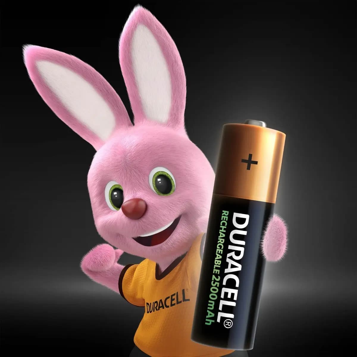 Pilha Recarregável Aa Pequena 2500mah Duracell Com 4 Un — imagem 4