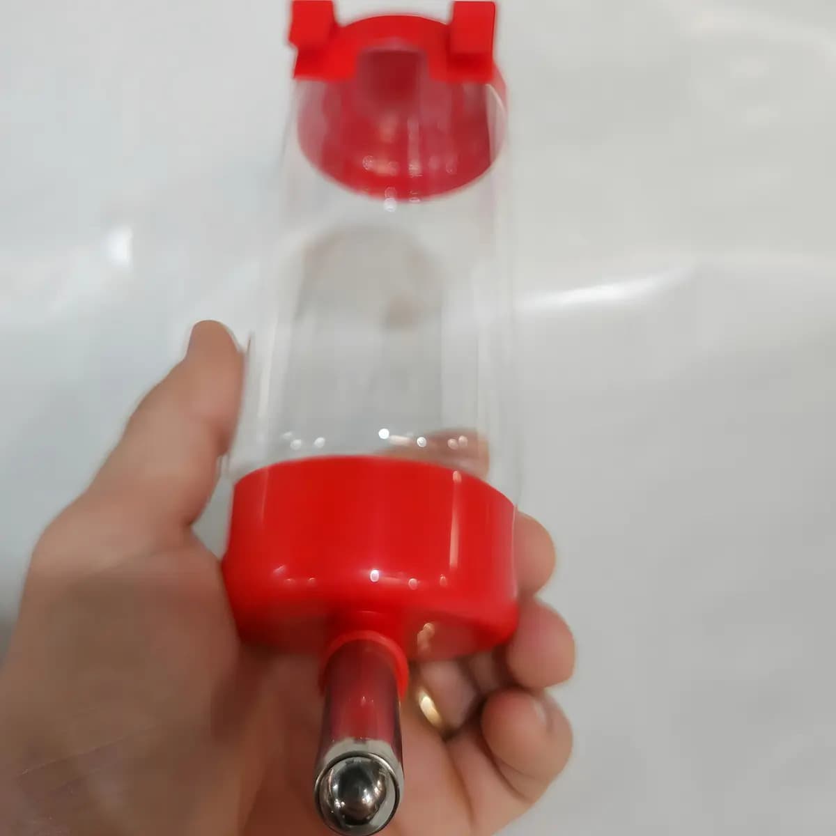 Bebedouro 400 Ml Chinchila Coelho Porquinho Da Índia Hamster — imagem 5