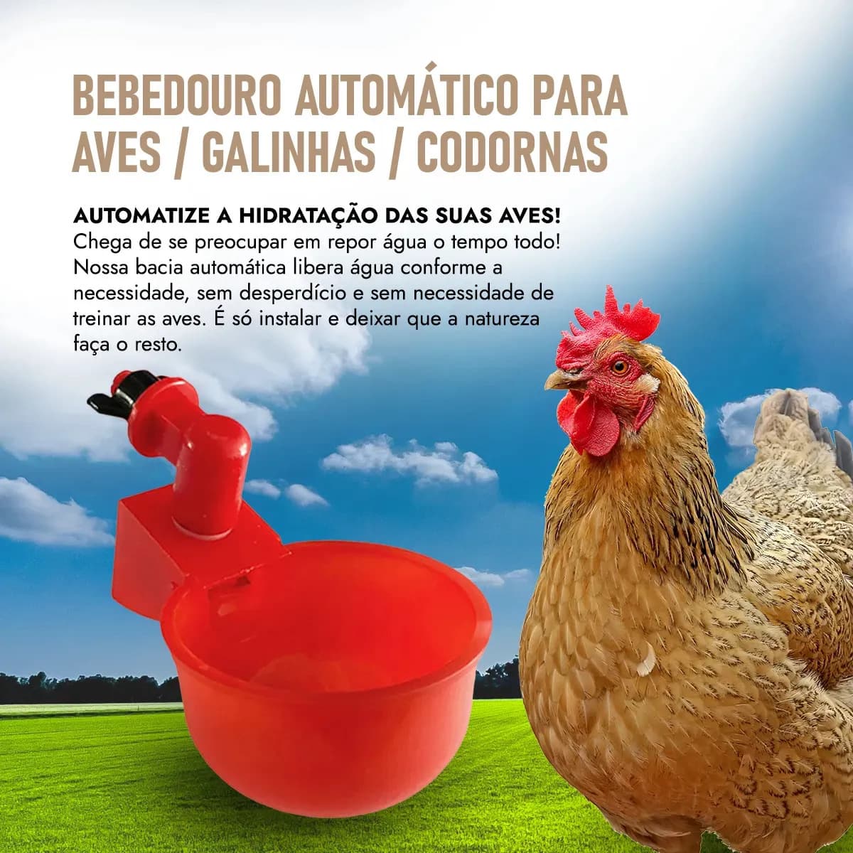20 Bebedouros Automáticos Aves Galinhas Codornas 20 Unidades — imagem 6