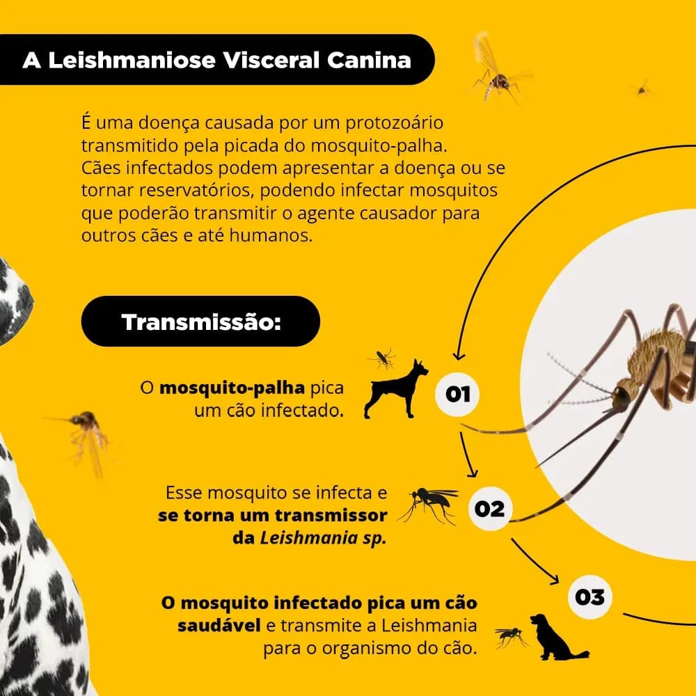 Coleira Antiparasita Scalibor 65 cm Proteção 4 Meses Pulgas e Mosquitos — imagem 3