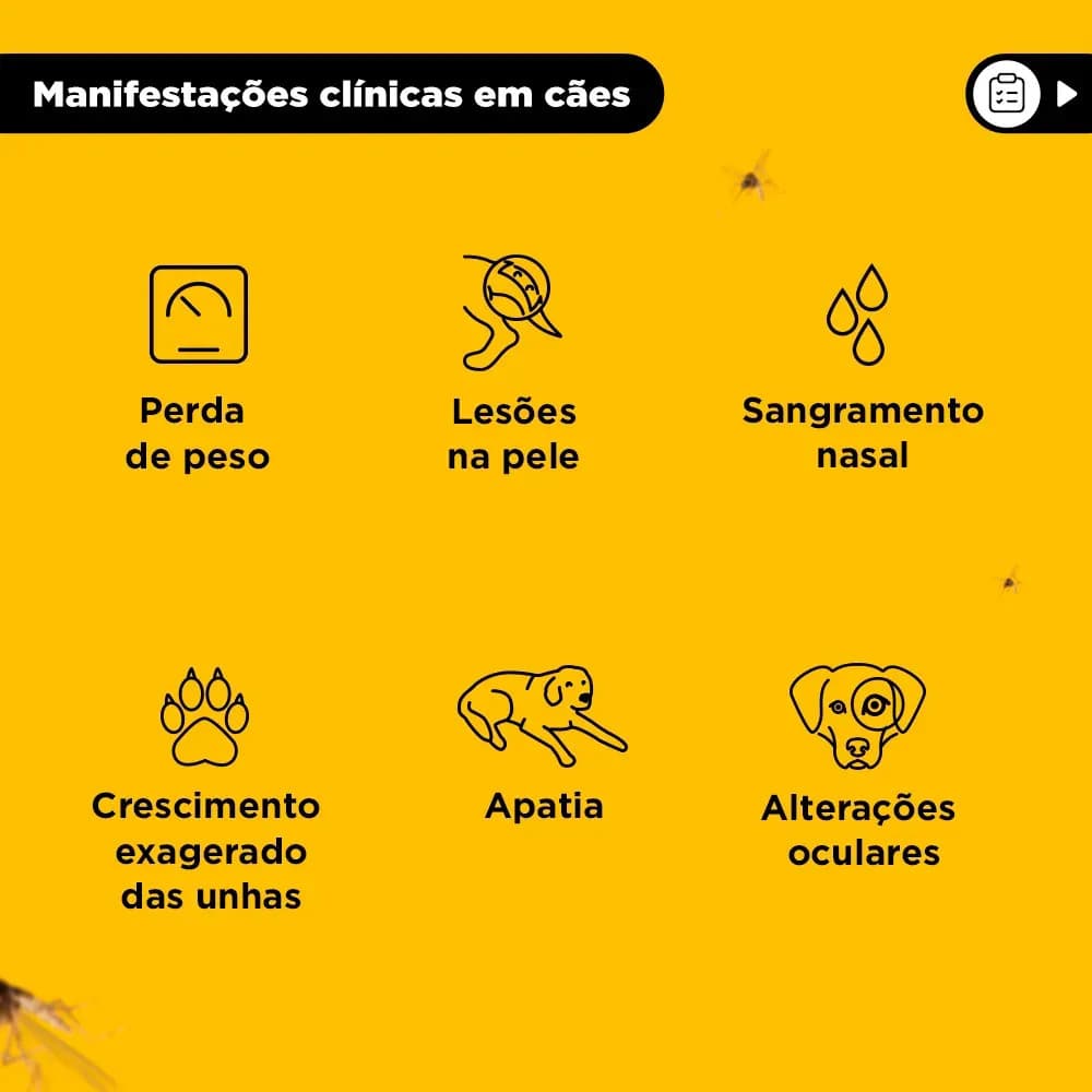 Coleira Antiparasita Scalibor 65 cm Proteção 4 Meses Pulgas e Mosquitos — imagem 5