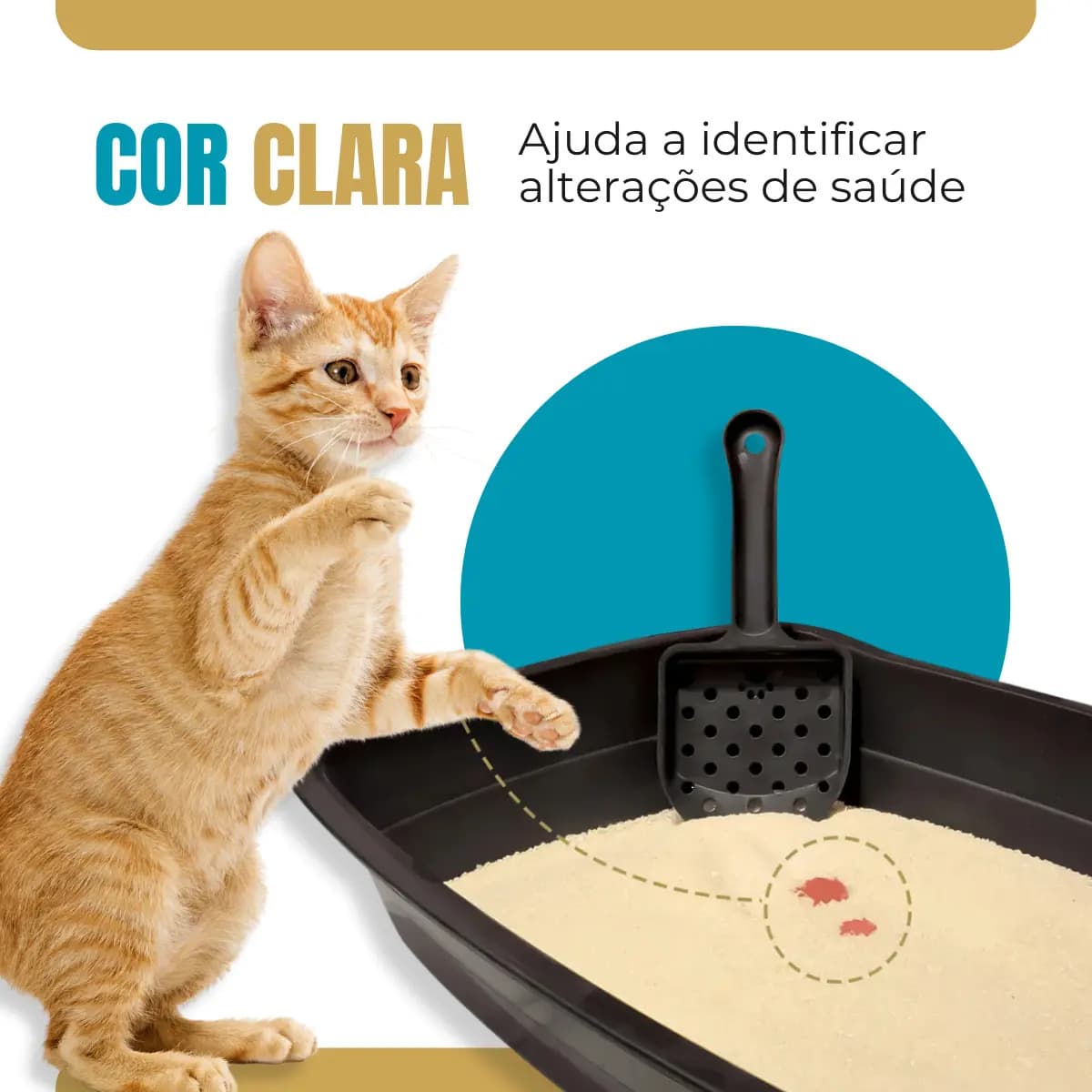 Areia Higiênica Para Gatos Feita de Mandioca e Milho Biodegradável Alta Absorção Baixo Odor 4kg - GoodVision — imagem 4