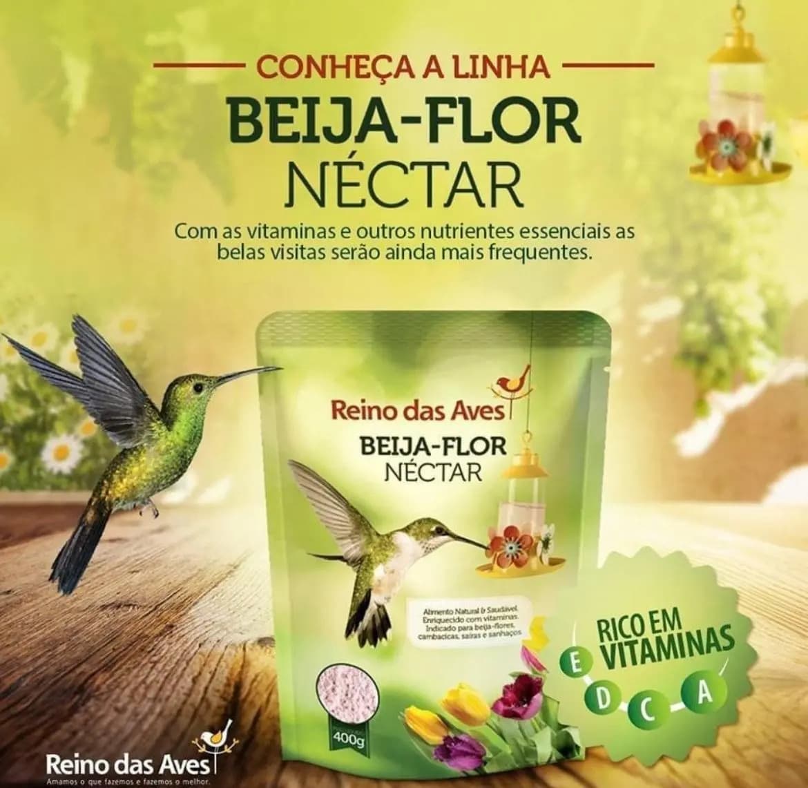 Kit 4 Nectar Para Beija Flor Refil 400g Reino Das Aves — imagem 3