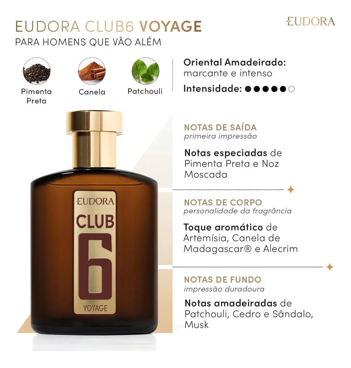 Club 6 Voyage Desodorante Colônia 95ml — imagem 2