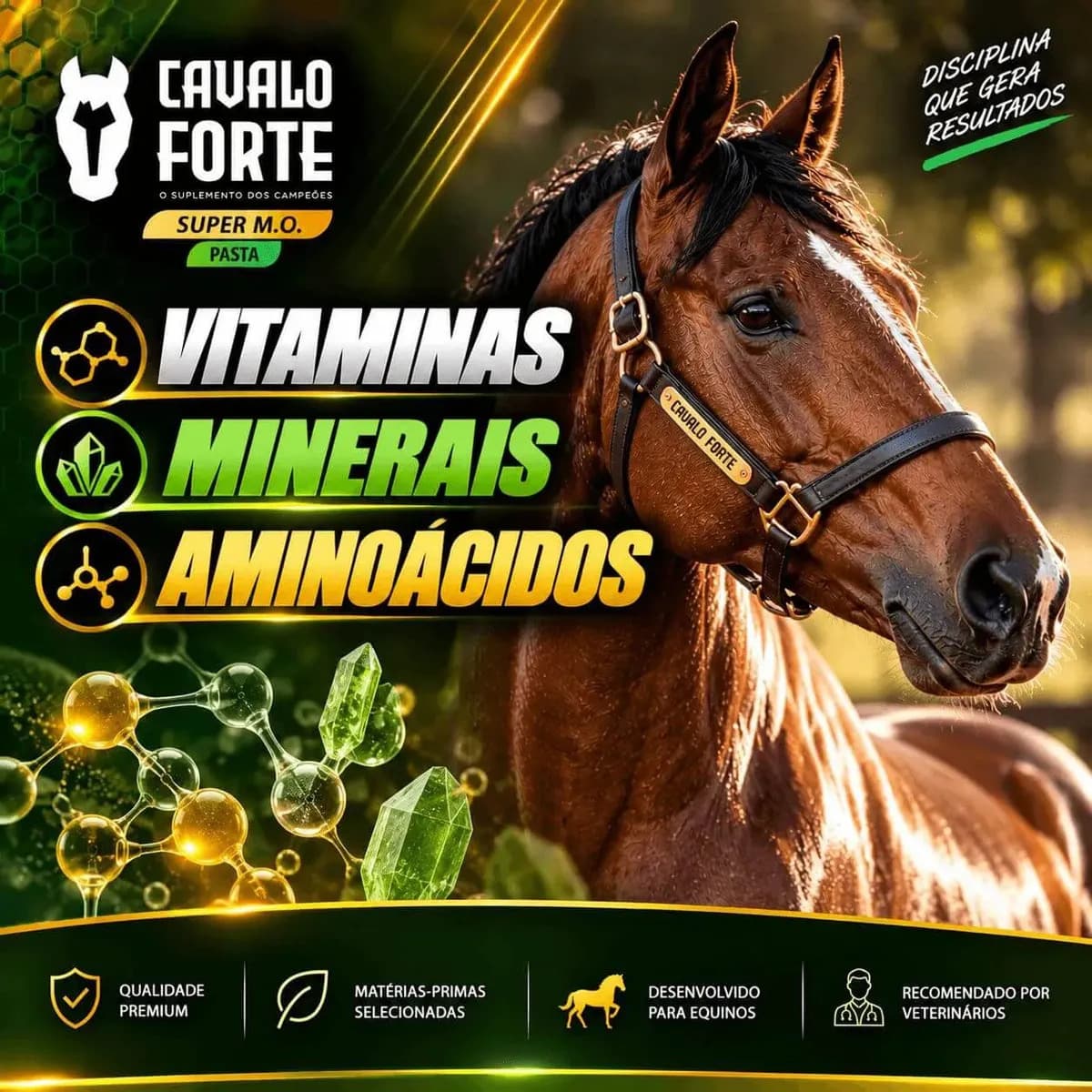 Pasta Mo Gel Cx Com 2 Seringas Suplemento Cavalo Forte Oral — imagem 3