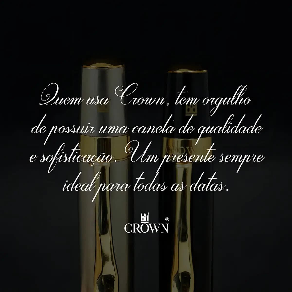 Caneta Tinteiro Crown Capricci Prata com Estojo — imagem 2