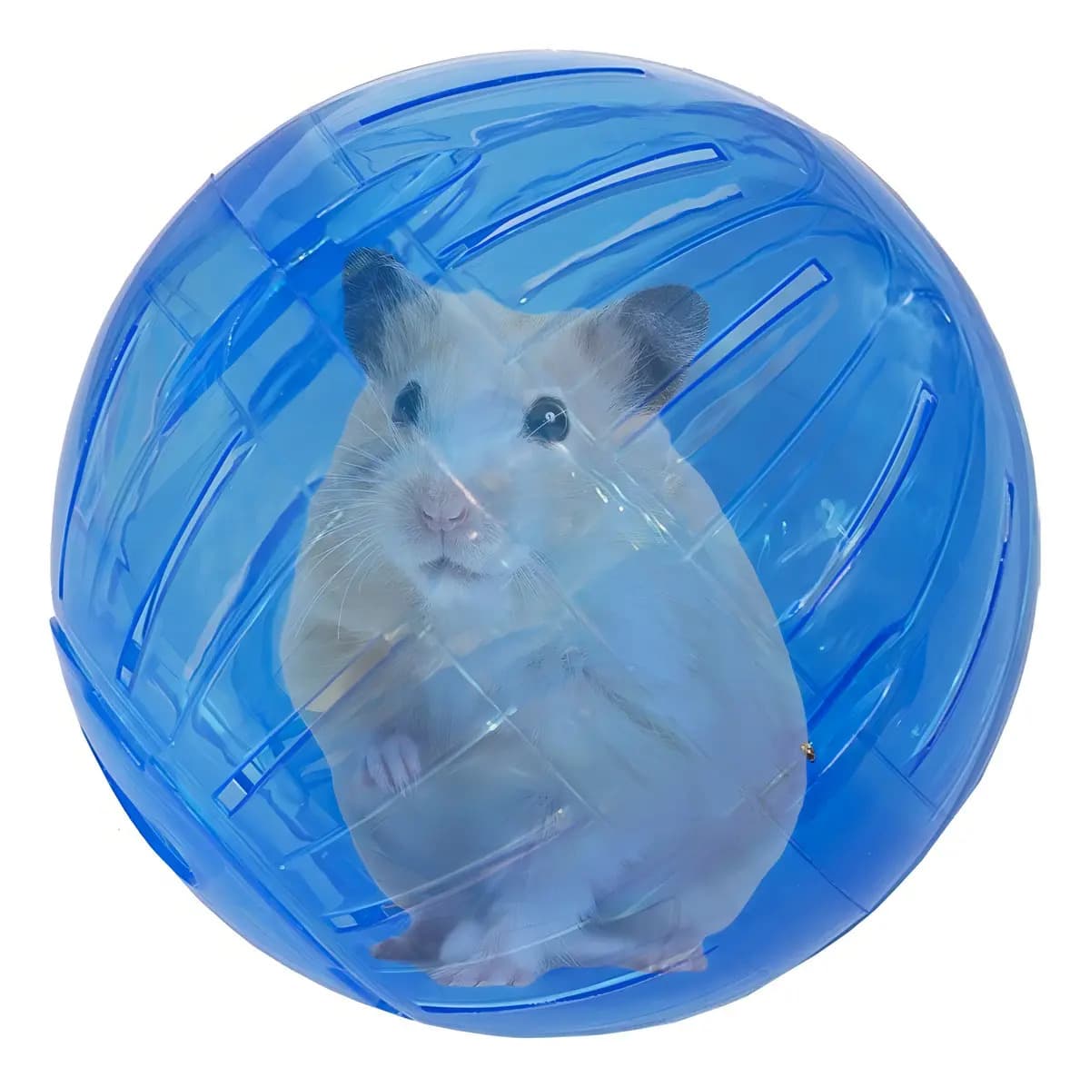 Bola Globo para Hamster 14,5cm Brinquedo em Acrílico para Roedores — imagem 4