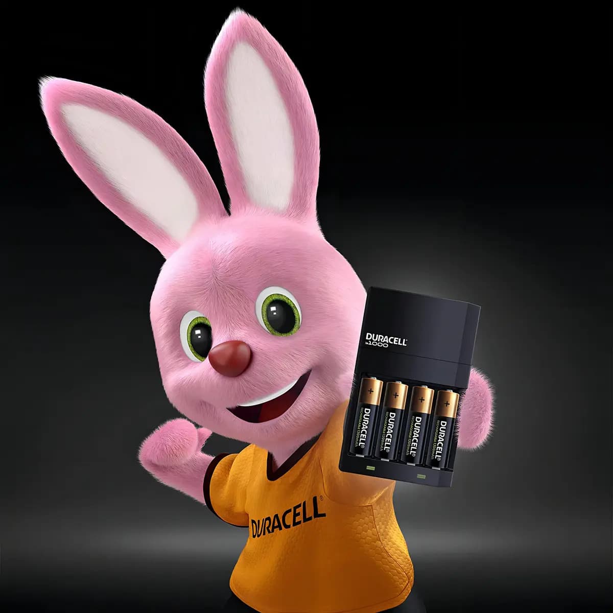 Carregador De Pilhas Recarregáveis Duracell Aa/aaa Com 4 Aa — imagem 5