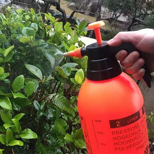 Pulverizador Borrifador Spray Para Jardinagem Multiuso 2 L Sortida — imagem 4