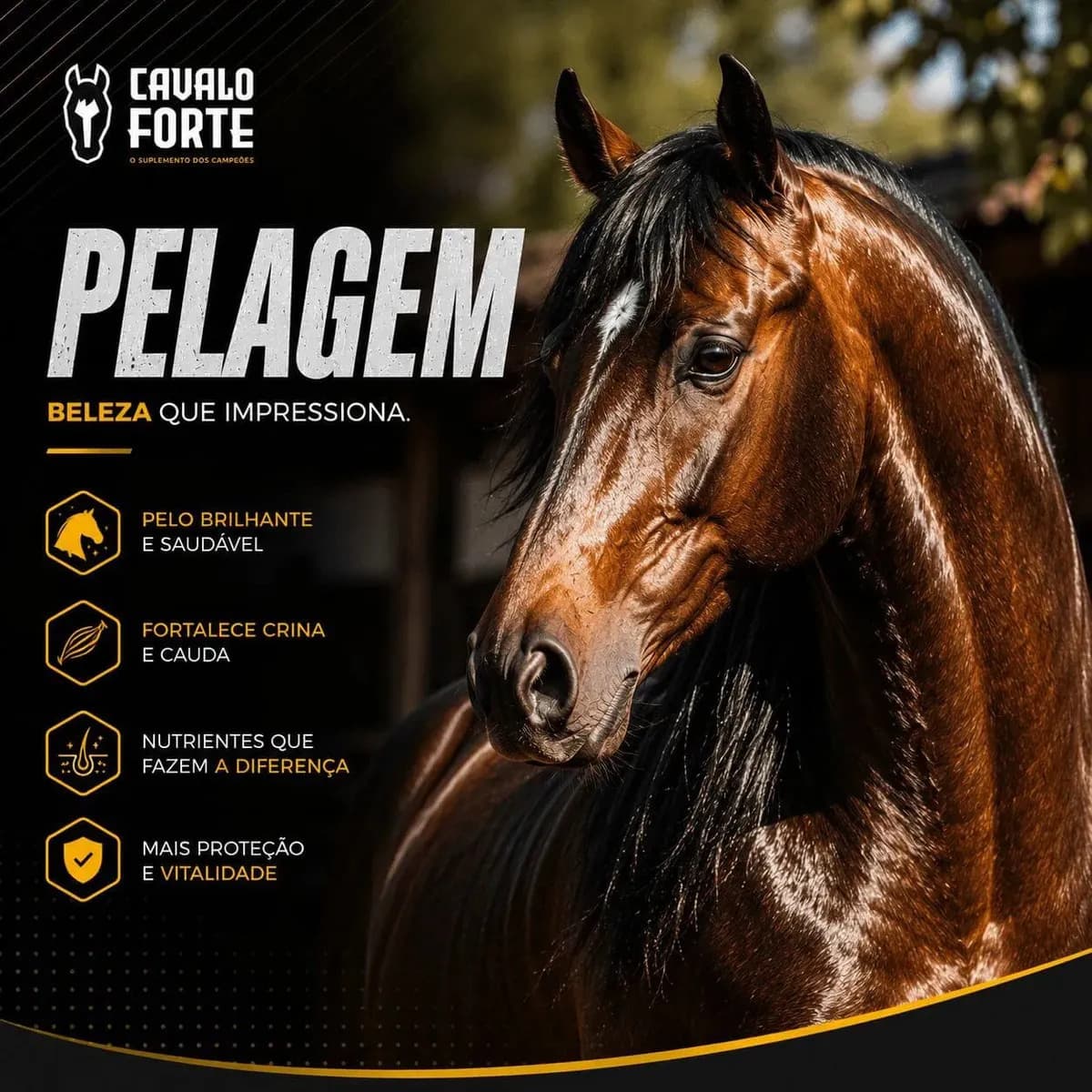 1kg Cavalo Forte Premium Suplemento Cavalo Equinos — imagem 4