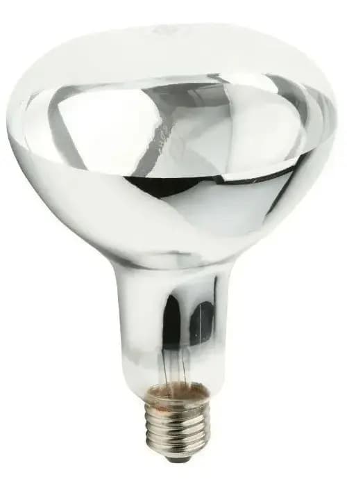 Empalux Secagem Incandescente 250w E27 Cor Da Luz Amarela — imagem 6